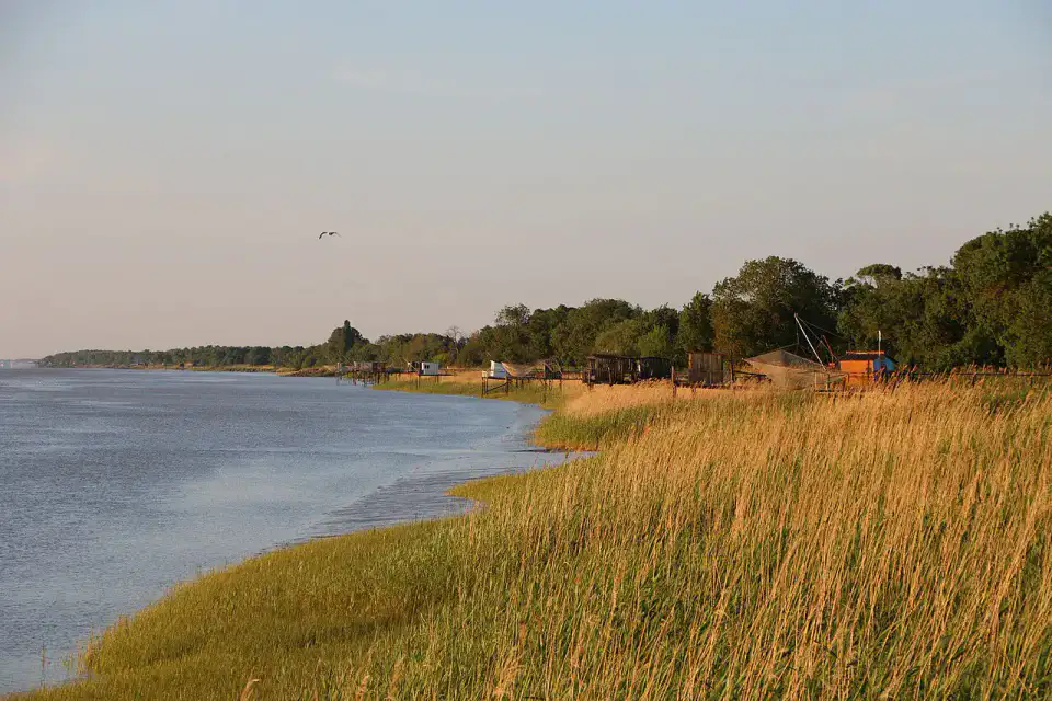 Roselière et carrelets de Pauillac - Médoc et estuaire de la Gironde