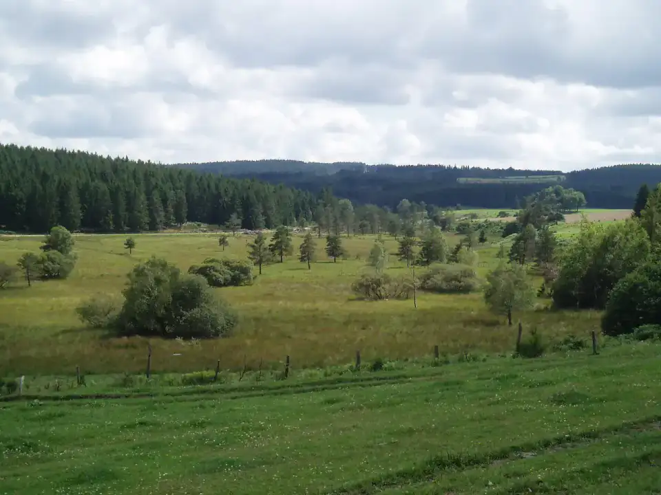 Meymac - Plateau de Millevaches