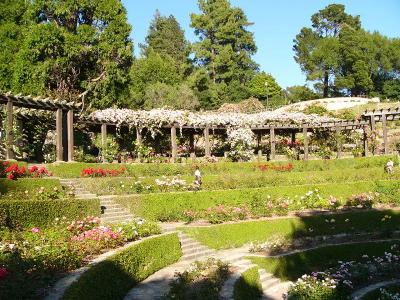 Berkeley Rose Garden - Oakland et Berkeley