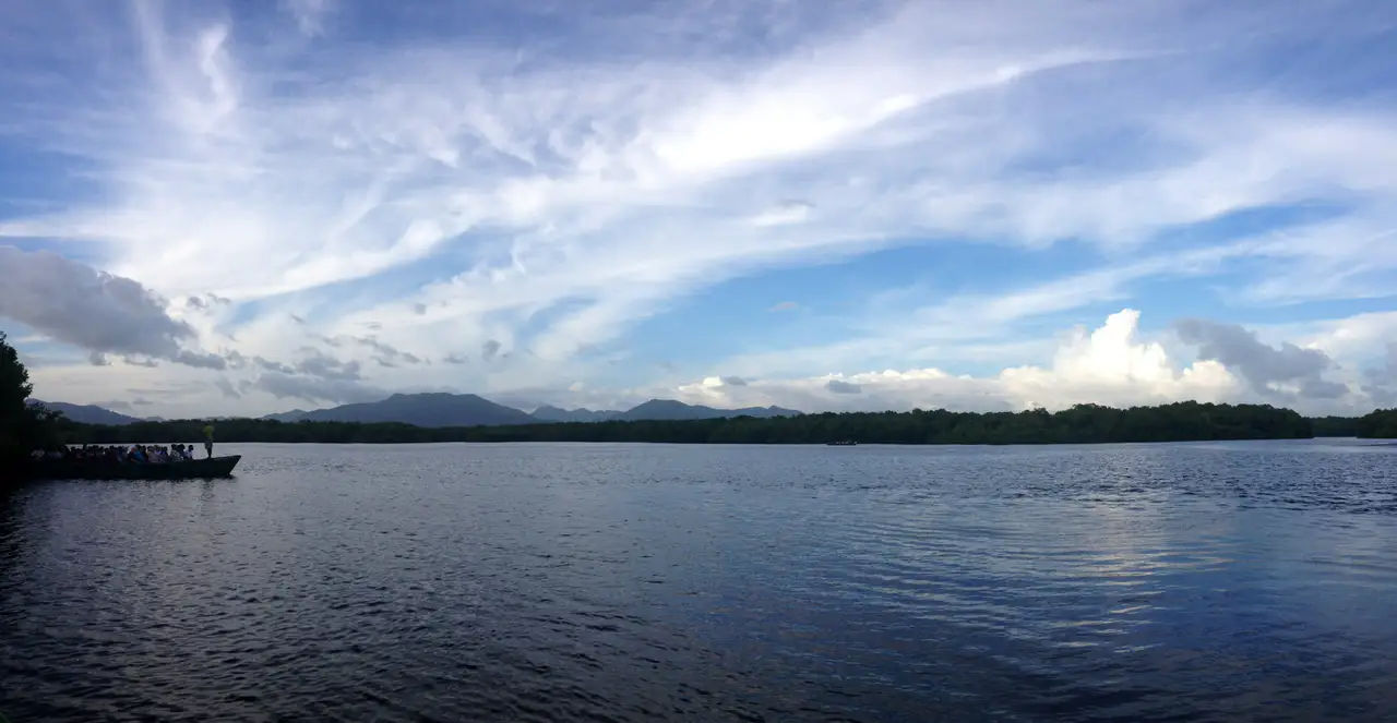 Marais de Caroni — Trinité-et-Tobago