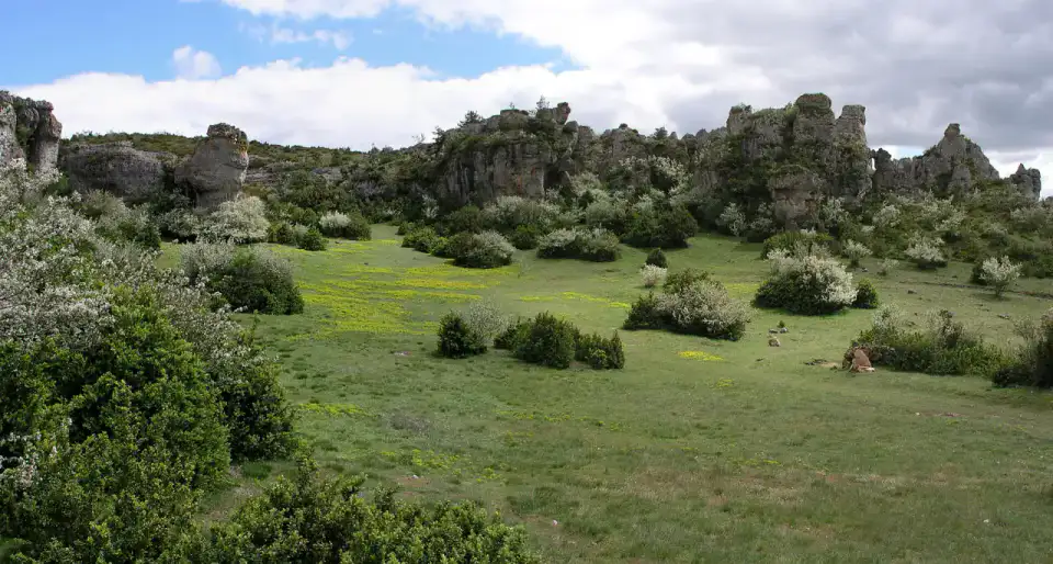 Causse du Larzac - Larzac et Millau