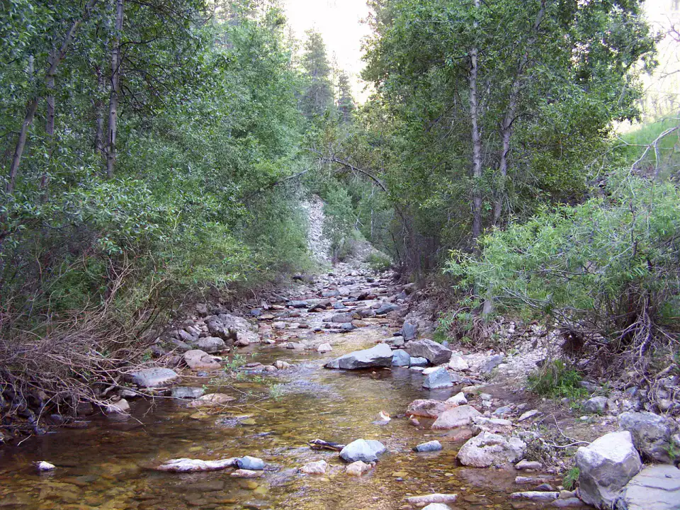 Spearfish Canyon - Spearfish Canyon