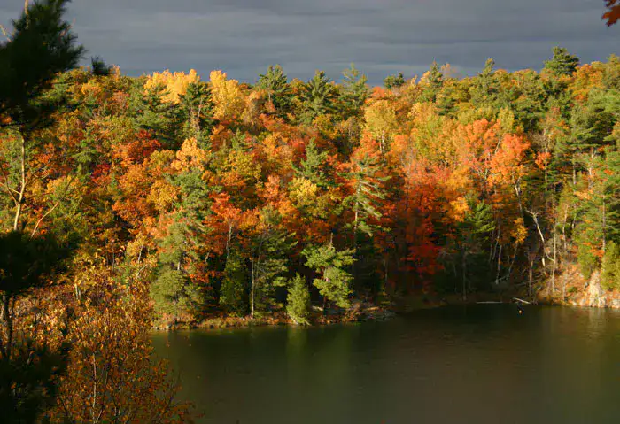 Parc de la Gatineau - Gatineau