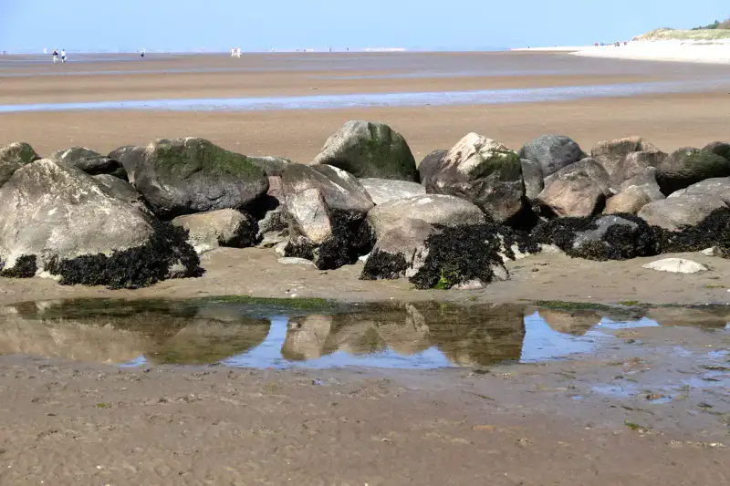 Nationalpark Schleswig-Holsteinisches Wattenmeer - Dithmarschen et côte ouest du Holstein