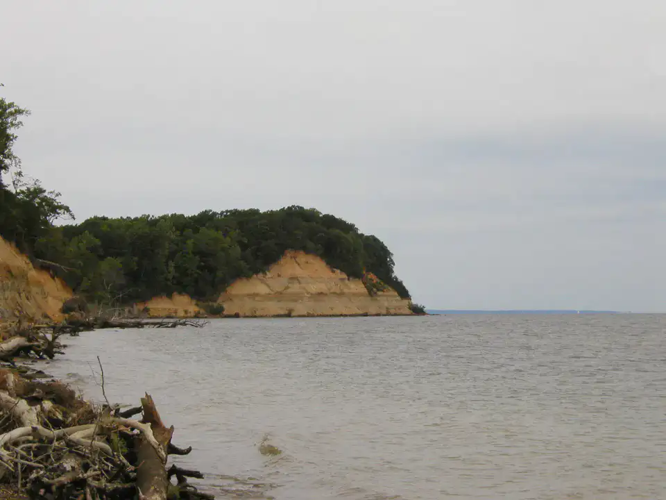 Calvert Cliffs State Park - Southern Maryland et Chesapeake