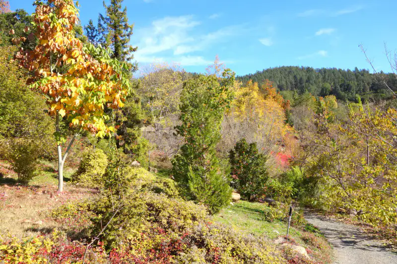 Quarryhill Botanical Garden - Sonoma Valley