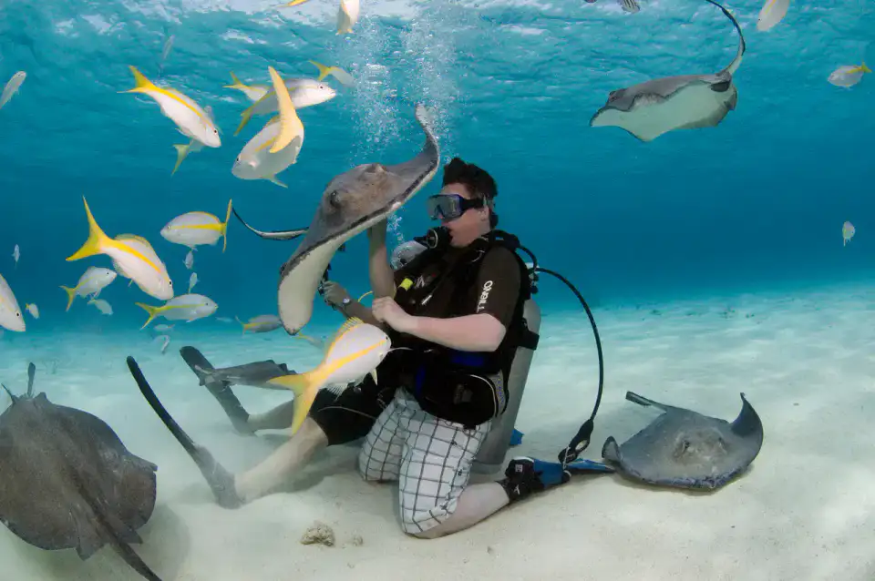 Stingray City - Îles Caïmans