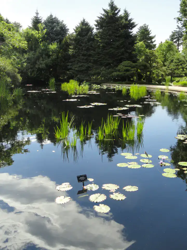 Denver Botanic Gardens - Denver
