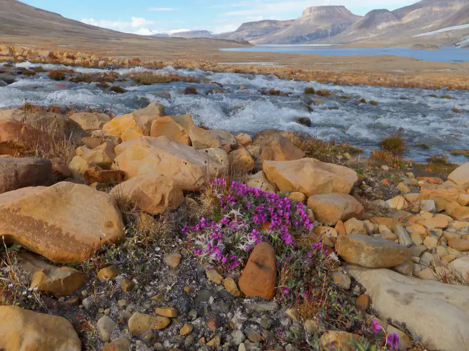 Ellesmere Island - Grise Fiord et sud d'Ellesmere