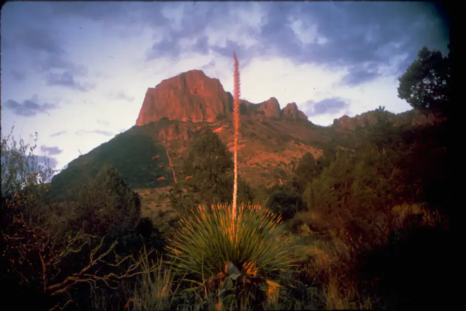Chisos Basin - Big Bend National Park