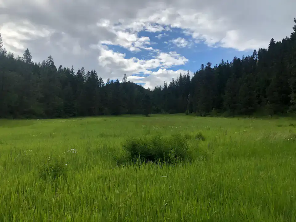 Rattlesnake National Recreation Area - Missoula et Bitterroot Valley