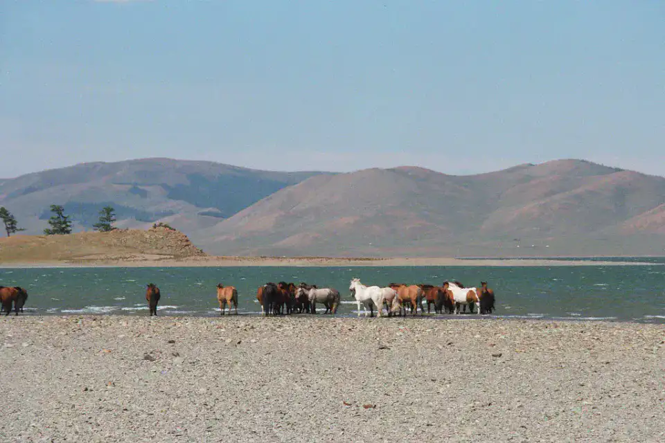 Lac Terkhiin Tsagaan - Tsetserleg, Khorgo et lac Terkhiin Tsagaan