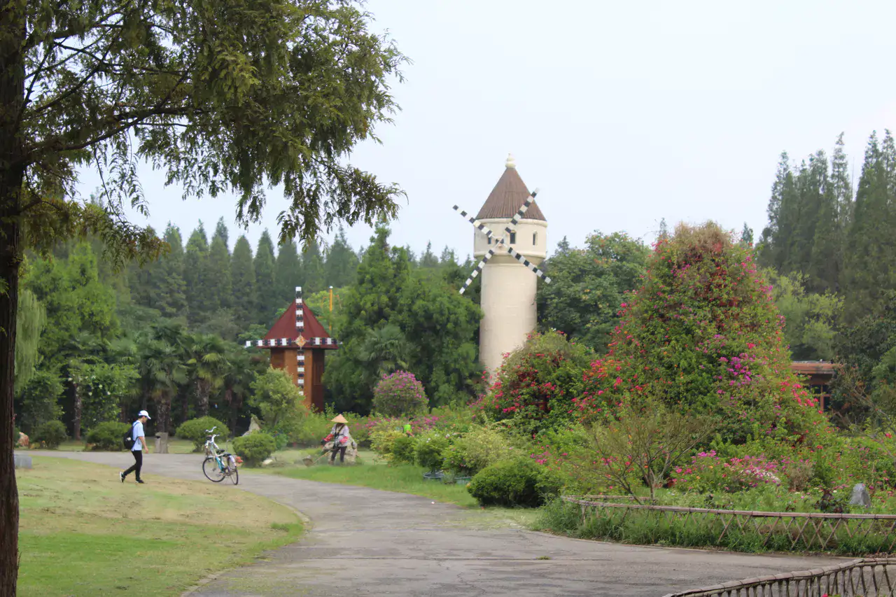 Parc forestier de Dongping - Île de Chongming