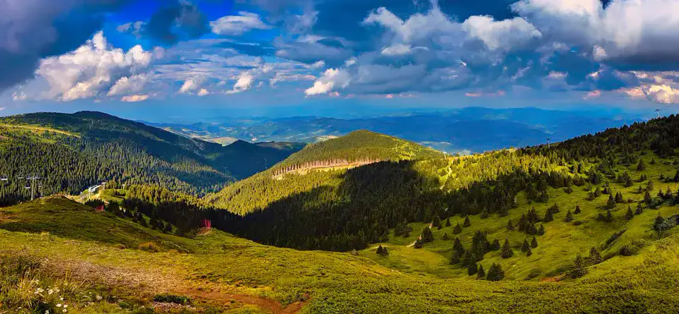 Pančićev vrh à Kopaonik