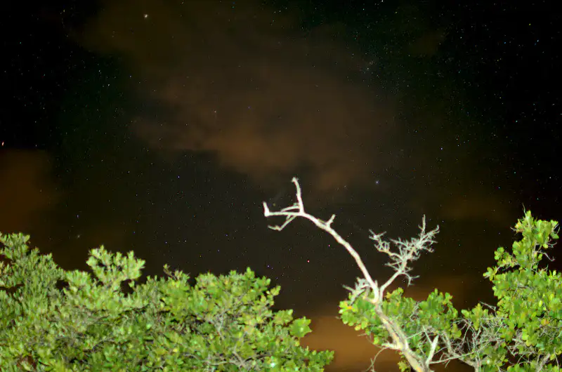 Baie bioluminescente de Vieques - Porto Rico