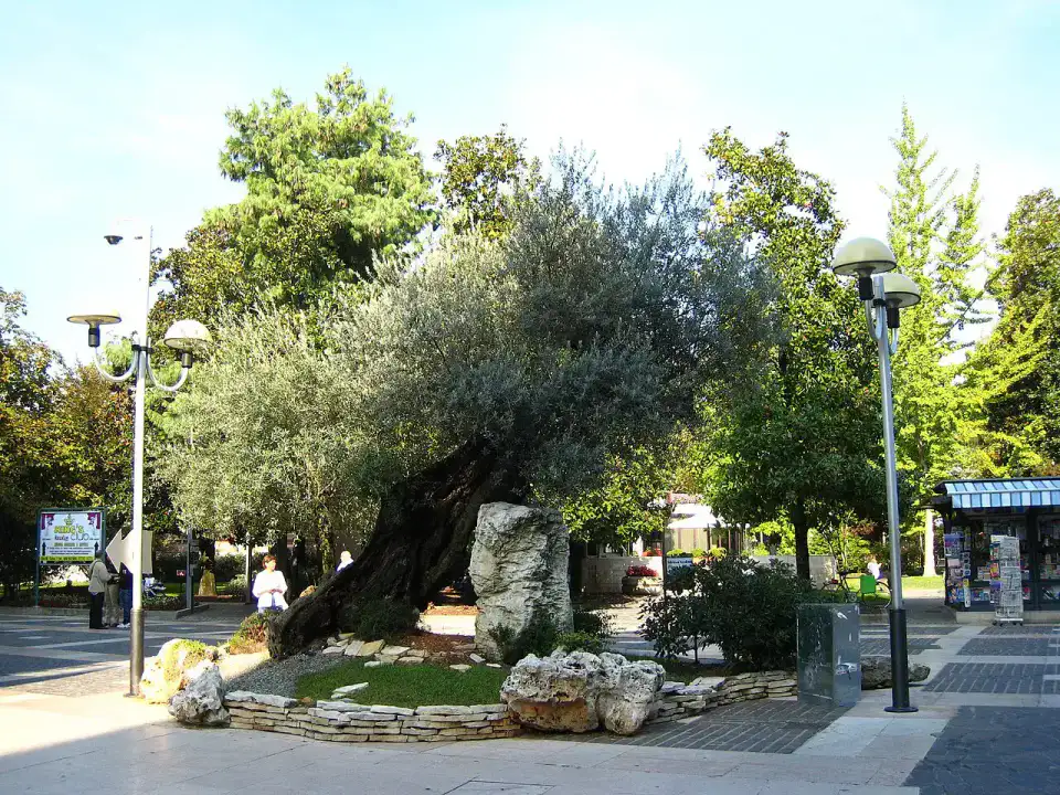 Abano Terme - Collines euganeennes
