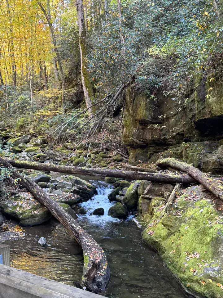 Roaring Fork Motor Nature Trail - Great Smoky Mountains