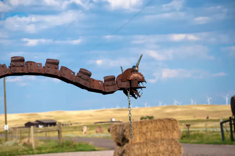 Terry Bison Ranch - Cheyenne