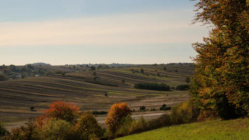Roztocze — Zamość