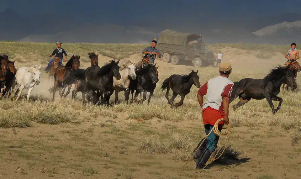 Khovd - Khovd et lac Khar-Us