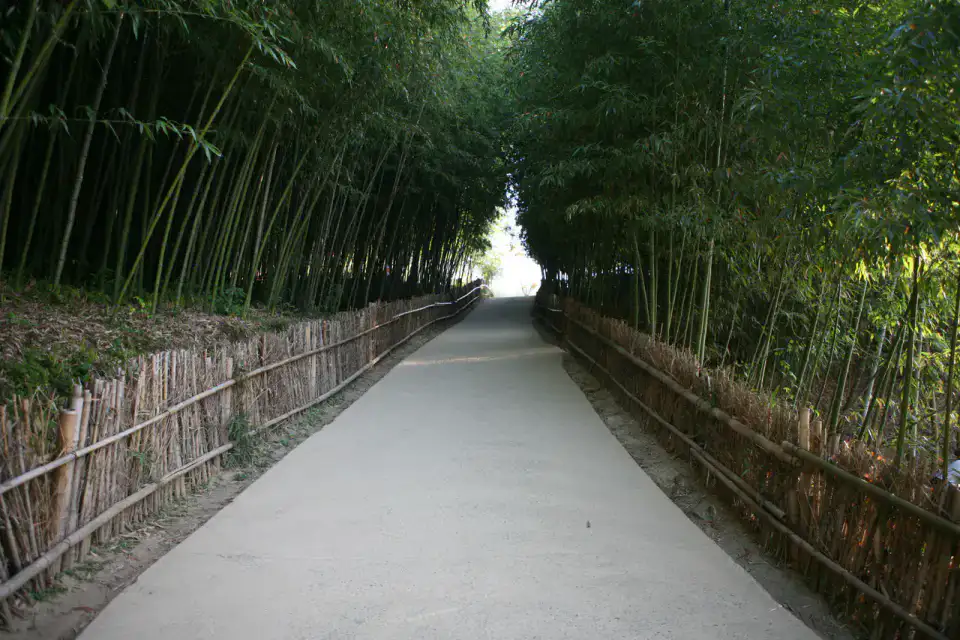 Bambouseraie Juknokwon - Gwangju et Damyang