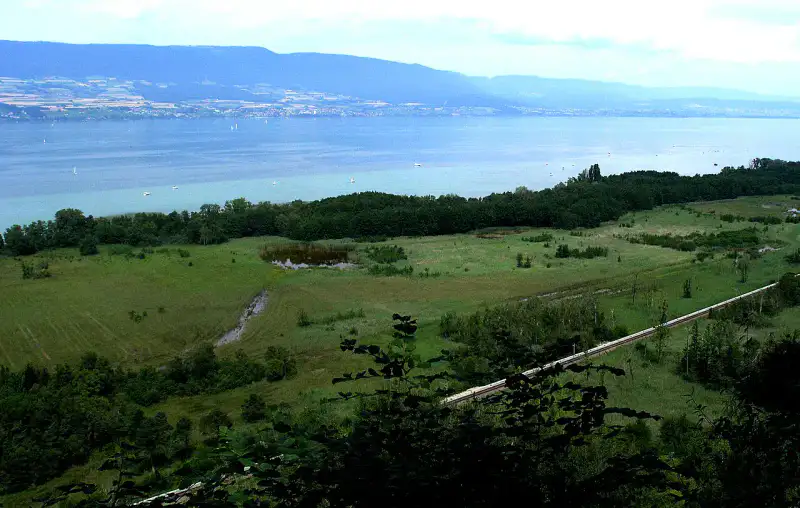Grande Cariçaie - Yverdon, Grandson et Orbe